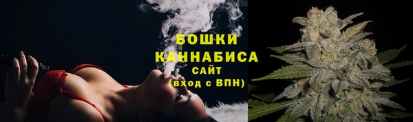 ПСИЛОЦИБИНОВЫЕ ГРИБЫ Баксан