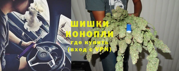 ПСИЛОЦИБИНОВЫЕ ГРИБЫ Баксан