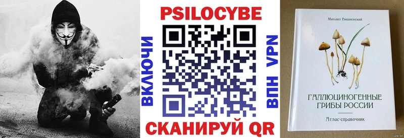 купить   Зима  нарко площадка официальный сайт  Псилоцибиновые грибы Psilocybine cubensis 