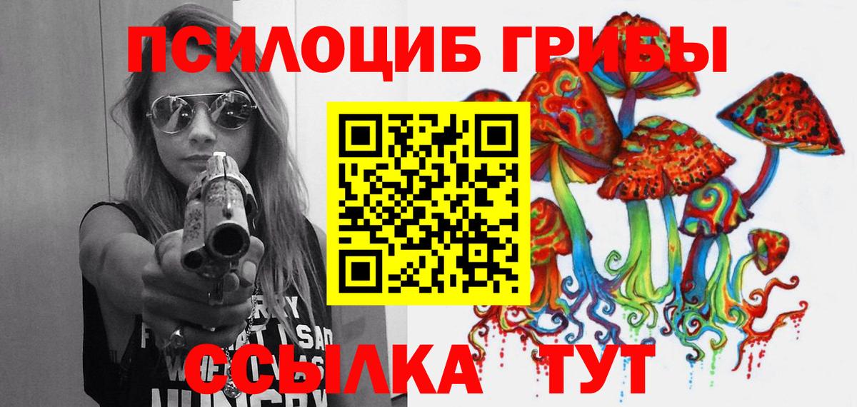 Псилоцибиновые грибы ЛСД Зима