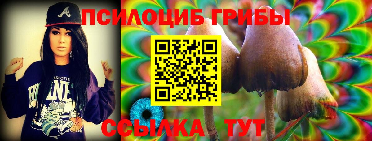 Зима  Псилоцибиновые грибы GOLDEN TEACHER  Вход с VPN 